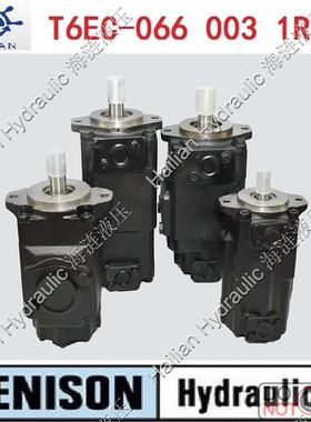 T6EC-066-003-1R03-B1叶片泵液压油泵vane pump