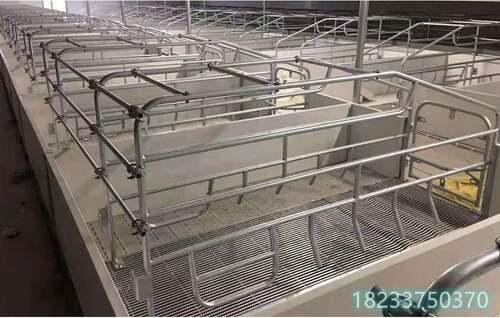 定制加工单体双体欧式产床分娩栏 出品外贸品质欧式产产仔箱