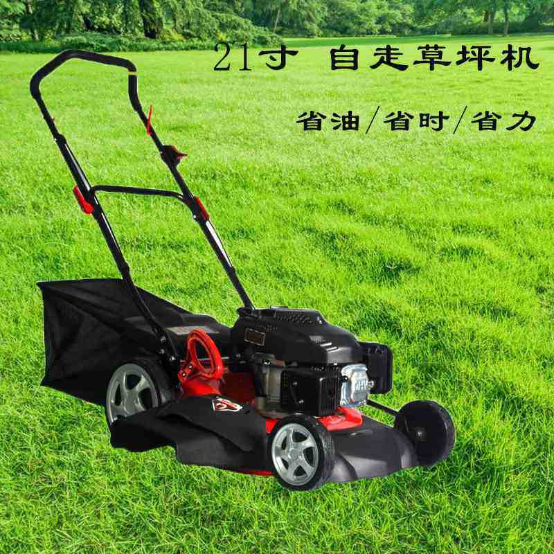 源头厂家家用手推割草机 20寸自走汽油四冲程剪草机 碎草草坪机,鲜花速递/花卉仿真/绿植园艺,割草机/草坪机,淘宝优惠券,粉丝福利购,淘宝优惠卷