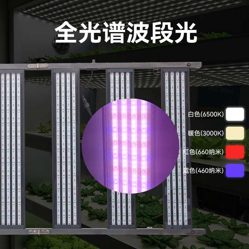 跨境专供全光谱调光灯led植物生长灯多功率蔬菜大棚照明灯具加工