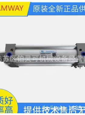 TEAMWAY气压缸TA32N125-A-S DNB50M55-CG-LN02A-2 DNB40M680SH