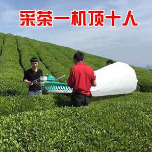 蒙驰单双人采茶机汽油便携往复式吹风绿篱机采茶神器修剪茶叶绿篱
