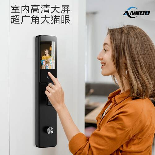 3D人脸识别指纹锁家用防盗门智能密码电子锁涂鸦通通公寓民宿洒店