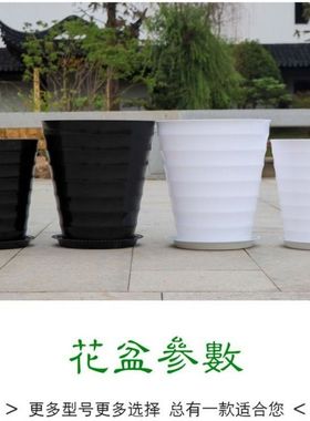花盆大号陶盆大螺纹植物黑色盆景托盘瓷送白色加厚塑料盆大型