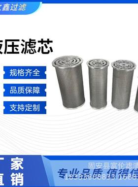 汽轮机并联滤芯杭州LY38-25 LY15-25 LY48-25W SLQ05*25杭州中能