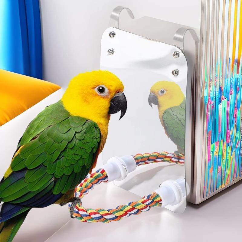 新品 鸟镜鹦鹉照镜活动站棒啃咬玩具站棒棉绳鹦鹉镜,宠物/宠物食品及用品,鸟玩具,淘宝优惠券,粉丝福利购,淘宝优惠卷