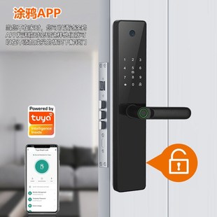 可视猫眼涂鸦智能锁木门防盗门一握开锁全自动指纹密码锁