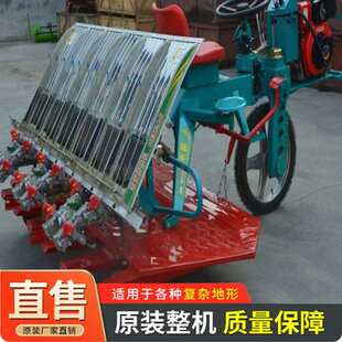 2ZS-4300手扶插秧机四行六行 四档调节家用种稻插苗水稻田新款