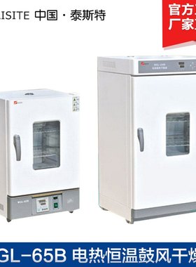 天津泰斯特WGL-30B 45B 65B 125B 230B 625B电热鼓风干燥箱 立式