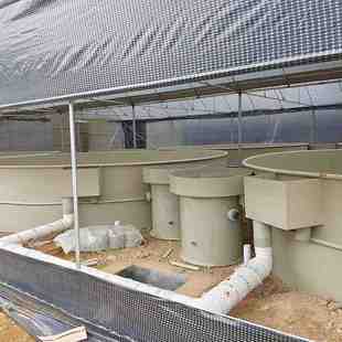 PP养殖池设备抗冲击长方形水产养殖箱加高鱼池养殖专用过滤箱加厚