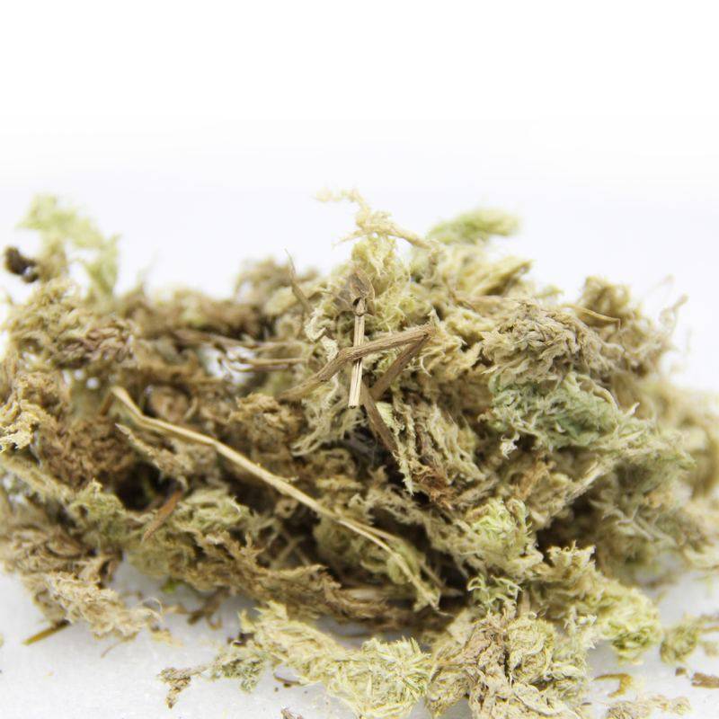 微景观水苔花卉营养半斤苔藓苔无土栽培介质国产水装干干基质,农用物资,育苗/栽培基质,淘宝优惠券,粉丝福利购,淘宝优惠卷