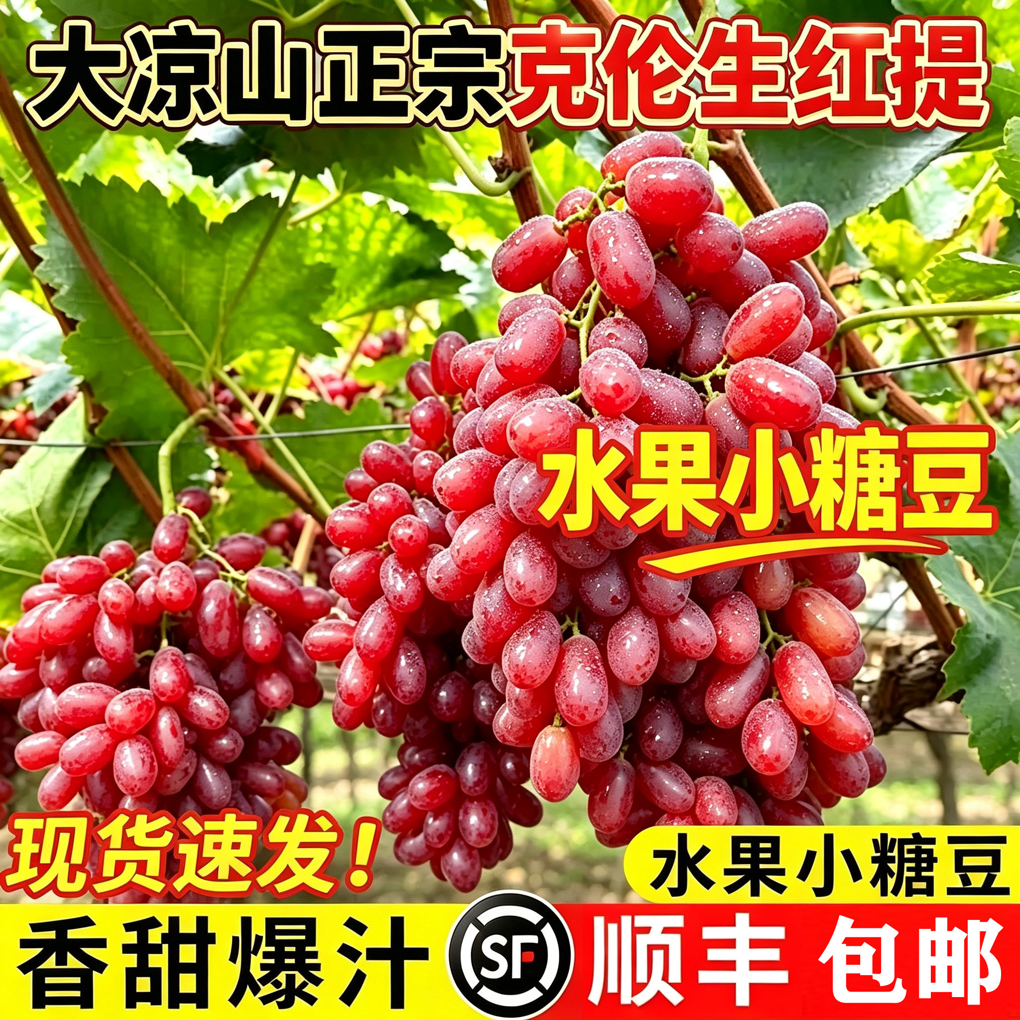克伦生红提十万葡萄粉丝的选择！