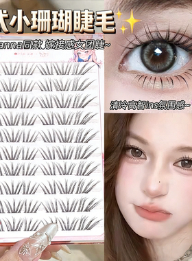 清冷高智免胶法式小珊瑚假睫毛女自然韩系ins仿真单簇清透眼睫毛