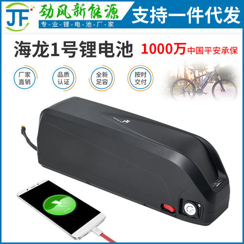 工厂48v13ah海龙1号2型动力锂电池快充速充锂电池组