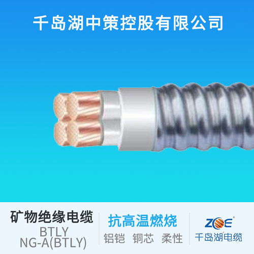 千岛湖中策控股有限公司NG-A(BTLY)铝铠矿物电缆电缆线绝缘电线
