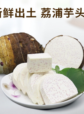 广西正宗荔浦芋头新鲜现挖槟榔大香芋农家毛芋桂林农家特产