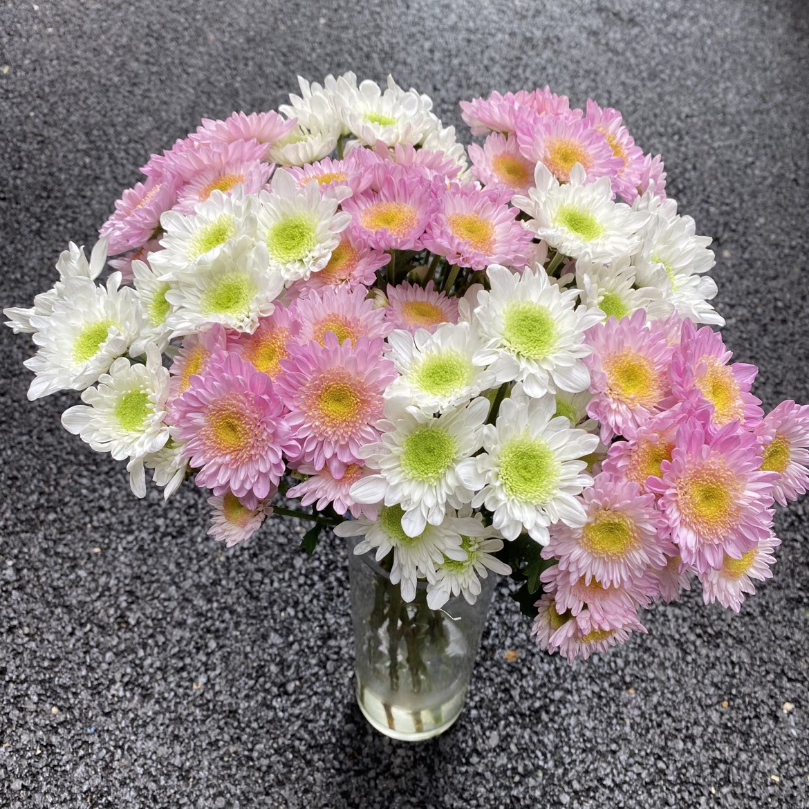 酒店餐饮民宿装饰用花云南鲜花基地直发小雏菊家庭水养鲜切花包邮
