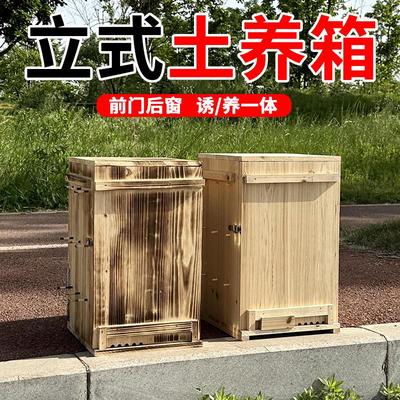 蜂荣土养箱立式土养箱新款
