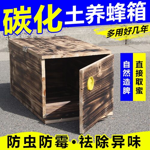 土养蜂箱双开门诱蜂箱