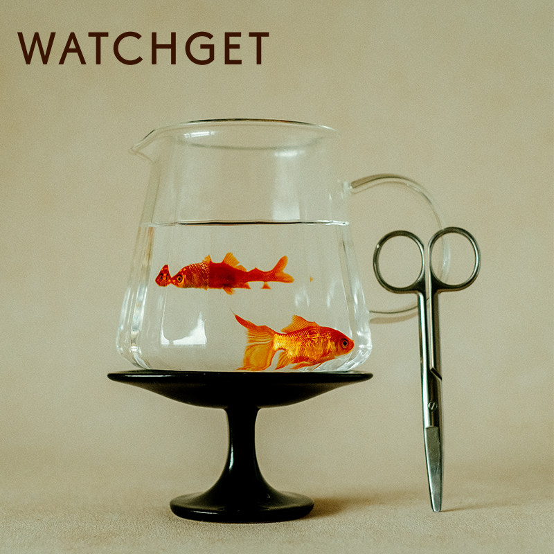 watchget 渐消楞分享壶 手冲咖啡耐热玻璃滴漏式公道过滤杯壶设计