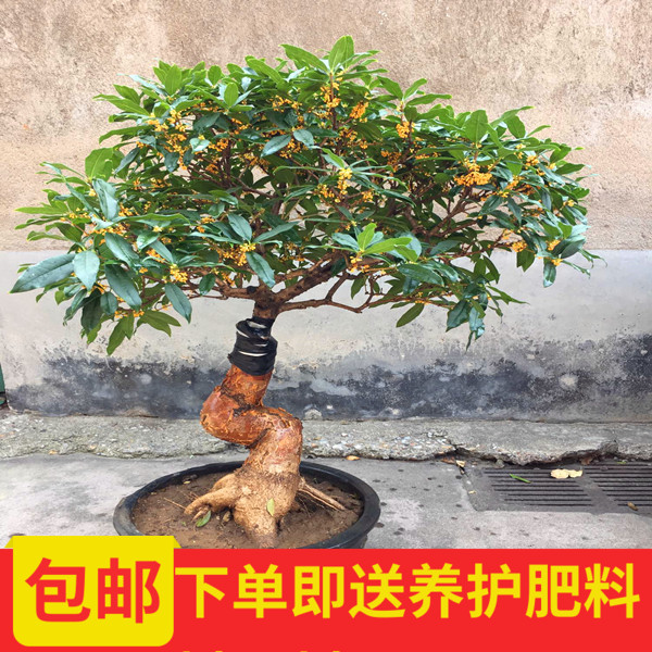 网友分享在meiguo.com上的图片