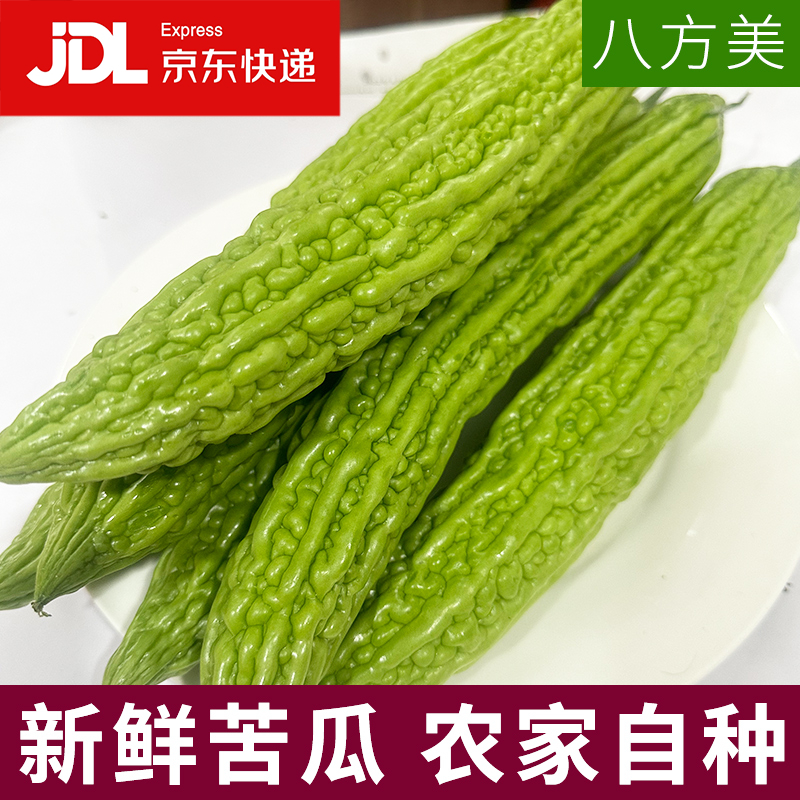 八方美山东新鲜蔬菜农家自种苦瓜现摘现发鲜苦瓜直销京东快递发货