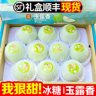 山西正宗玉露香梨旗舰店新鲜应季水果梨子整箱顺丰礼盒青皮10斤