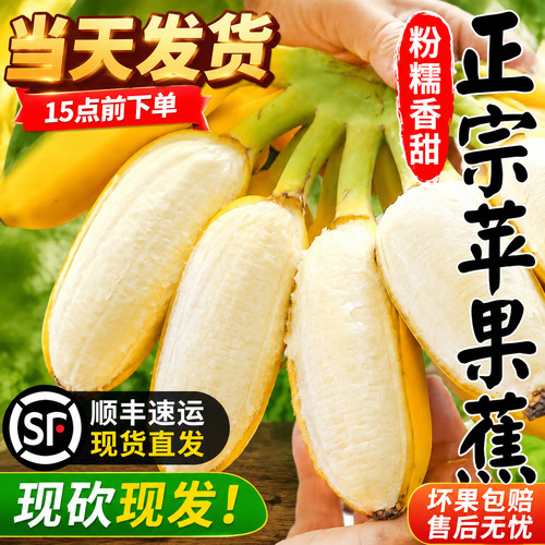【官方力荐】正宗苹果粉蕉