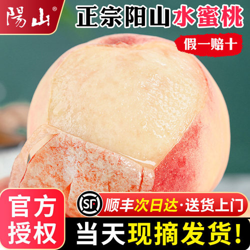 【官方力荐】无锡阳山水蜜桃