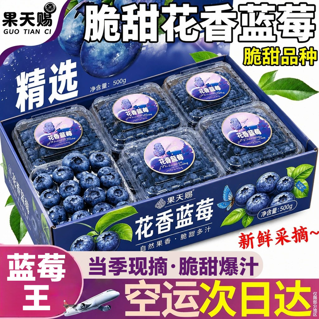 【仅限1单】疯抢花香蓝莓