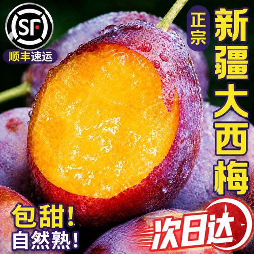 【仅限1单】疯抢正宗新鲜西梅