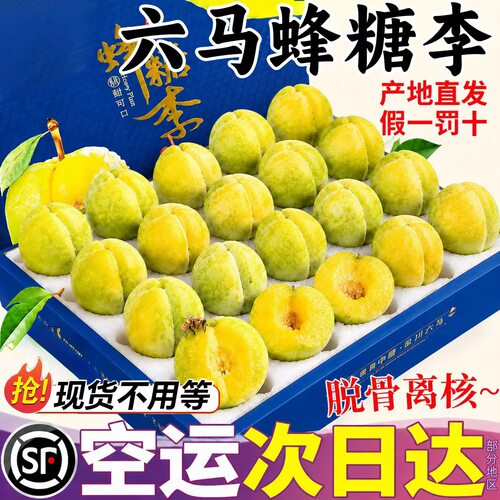 假一罚十！正宗贵州六马蜂糖李