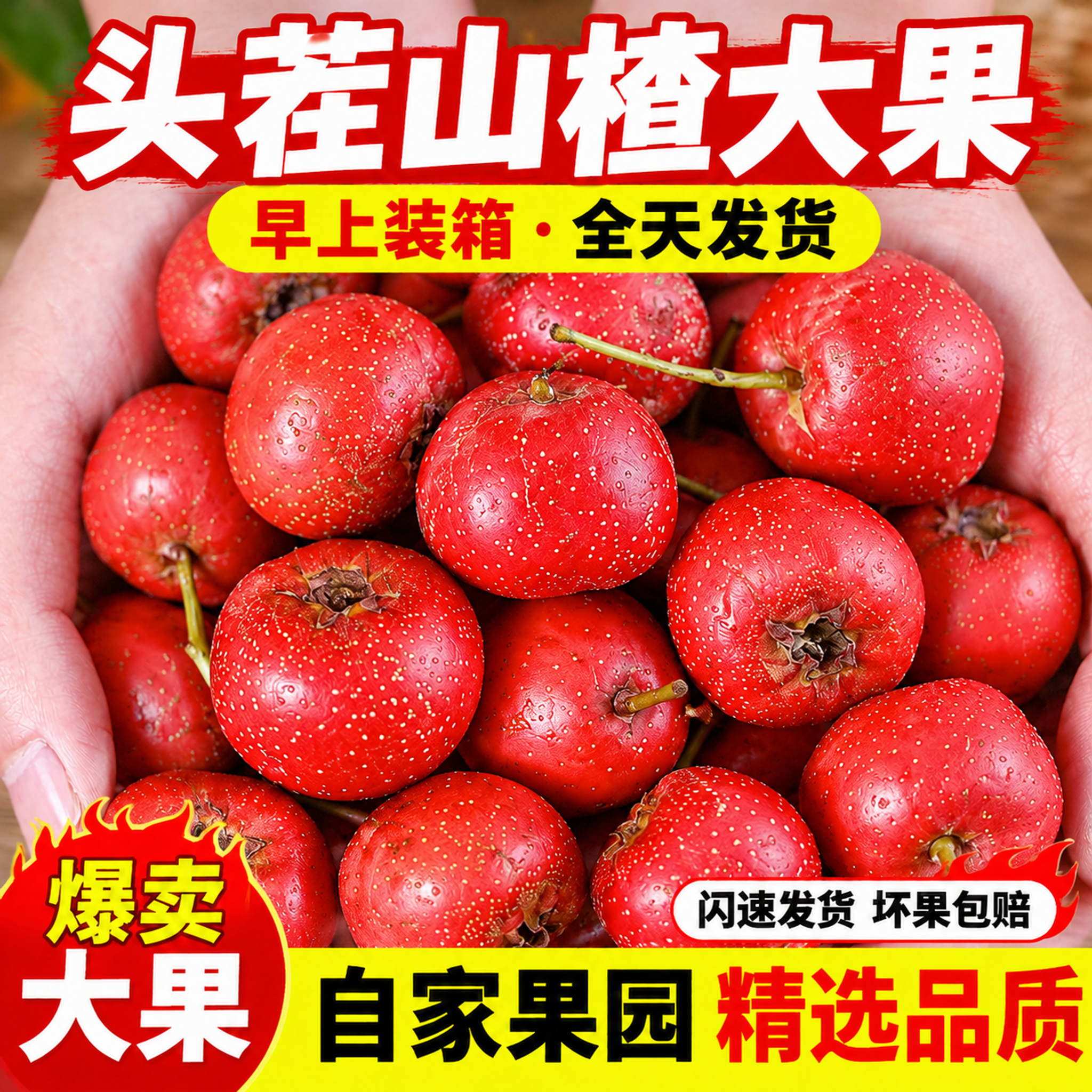 新鲜大金星山楂鲜果山东楂当季新鲜水果整箱包邮山里红糖葫芦专用