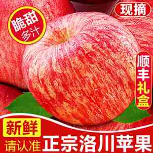 洛川苹果陕西正宗产地直发新鲜应季 红富士苹果水果整箱官方旗舰店