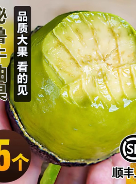 秘鲁牛油果大果进口新鲜水果当季整箱包邮宝宝辅食鳄梨官方旗舰店