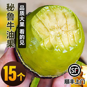 甄选A+秘鲁牛油果15枚∣坏必赔