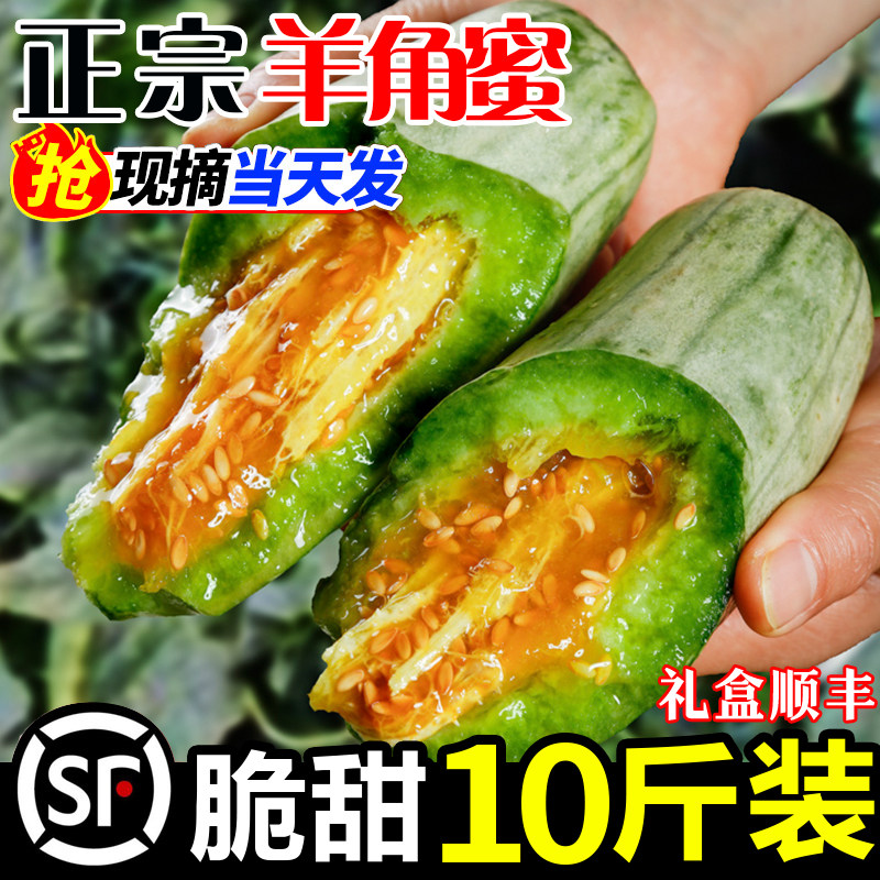 【官方力荐】当季时令羊角蜜甜瓜