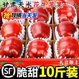甘肃天水花牛苹果粉面应季新鲜水果当季整箱包邮10斤平安果礼盒装