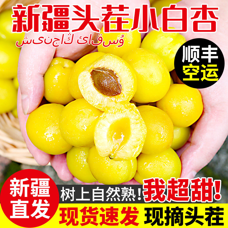 新疆小白杏子新鲜水果当季整箱现摘香甜库车轮台小白杏官方旗舰店