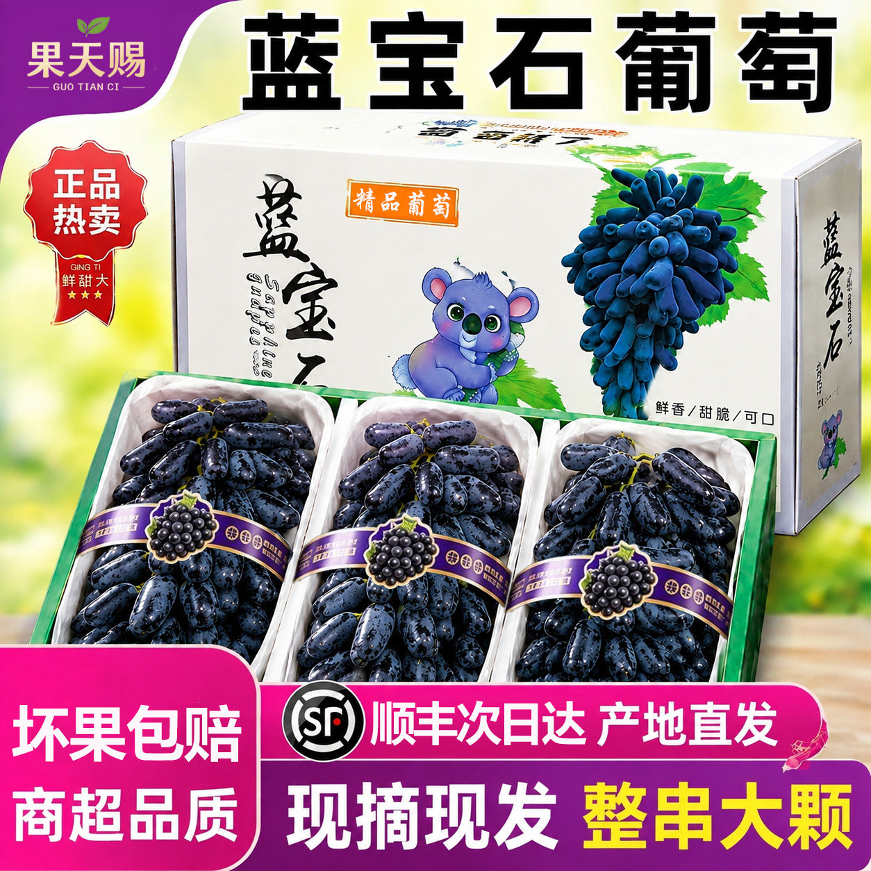 顺丰次日达!蓝宝石美人指葡萄