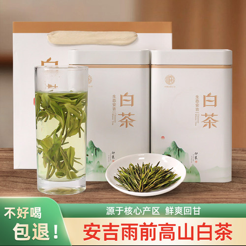 正宗白茶安吉高山绿茶罐装茶叶