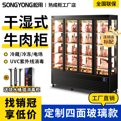 松用湿式干式熟成柜牛肉排酸柜深海鱼五花肉商用冷藏柜保鲜展示柜