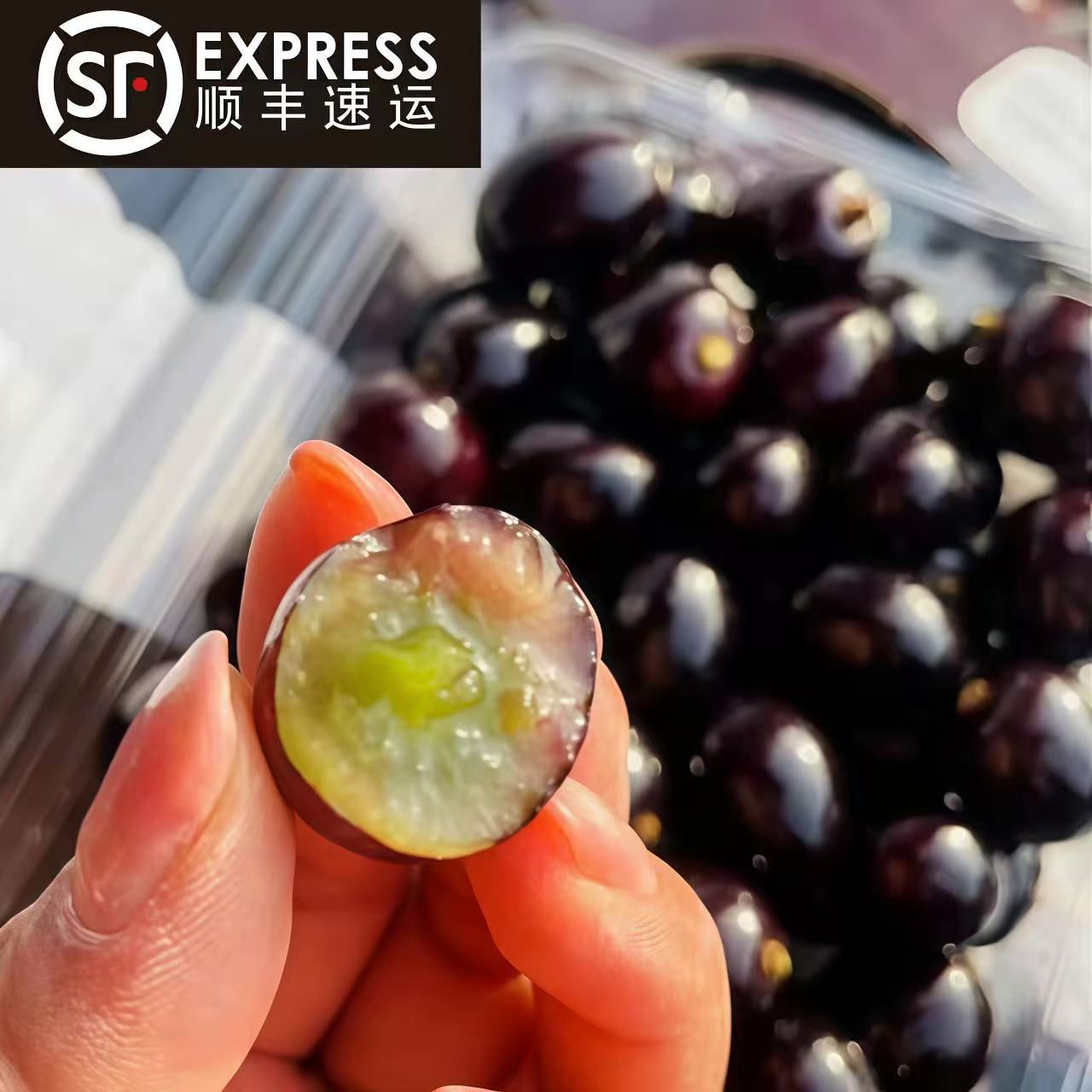 蛟龙果珍宝果非嘉宝果新鲜当季水果葡萄黑珍珠罕见稀有水果顺丰