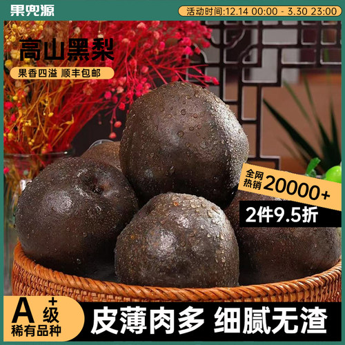 正宗高原黑乌梨四川高山黑梨新鲜稀有水果礼盒款装【顺丰包邮】