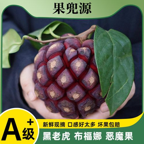 黑老虎鲜果当季新鲜顺丰包邮