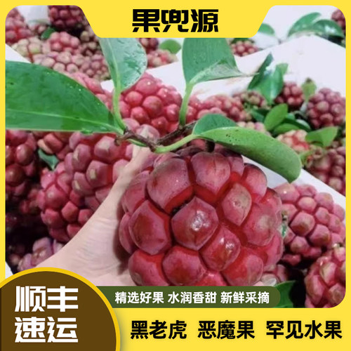 黑老虎布福娜果新鲜稀有顺丰包邮
