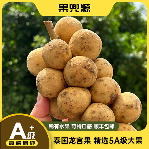 泰国进口龙宫果新鲜当季5A龙贡果稀奇古怪热带水果礼盒款顺丰速运