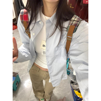 蓝色条纹长袖polo领衬衫女春夏