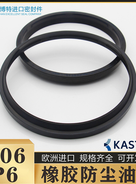 欧洲KASTAS进口K06橡胶P6防尘油封50*58/60/62/65*4/5/6/7/7.5/12