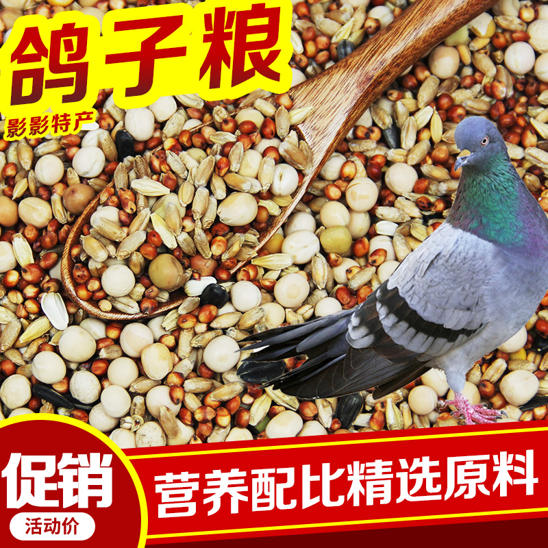 厂家直销鸽粮100斤无玉米鸽子粮10kg营养豌豆5斤成肉鸽幼鸟食饲料